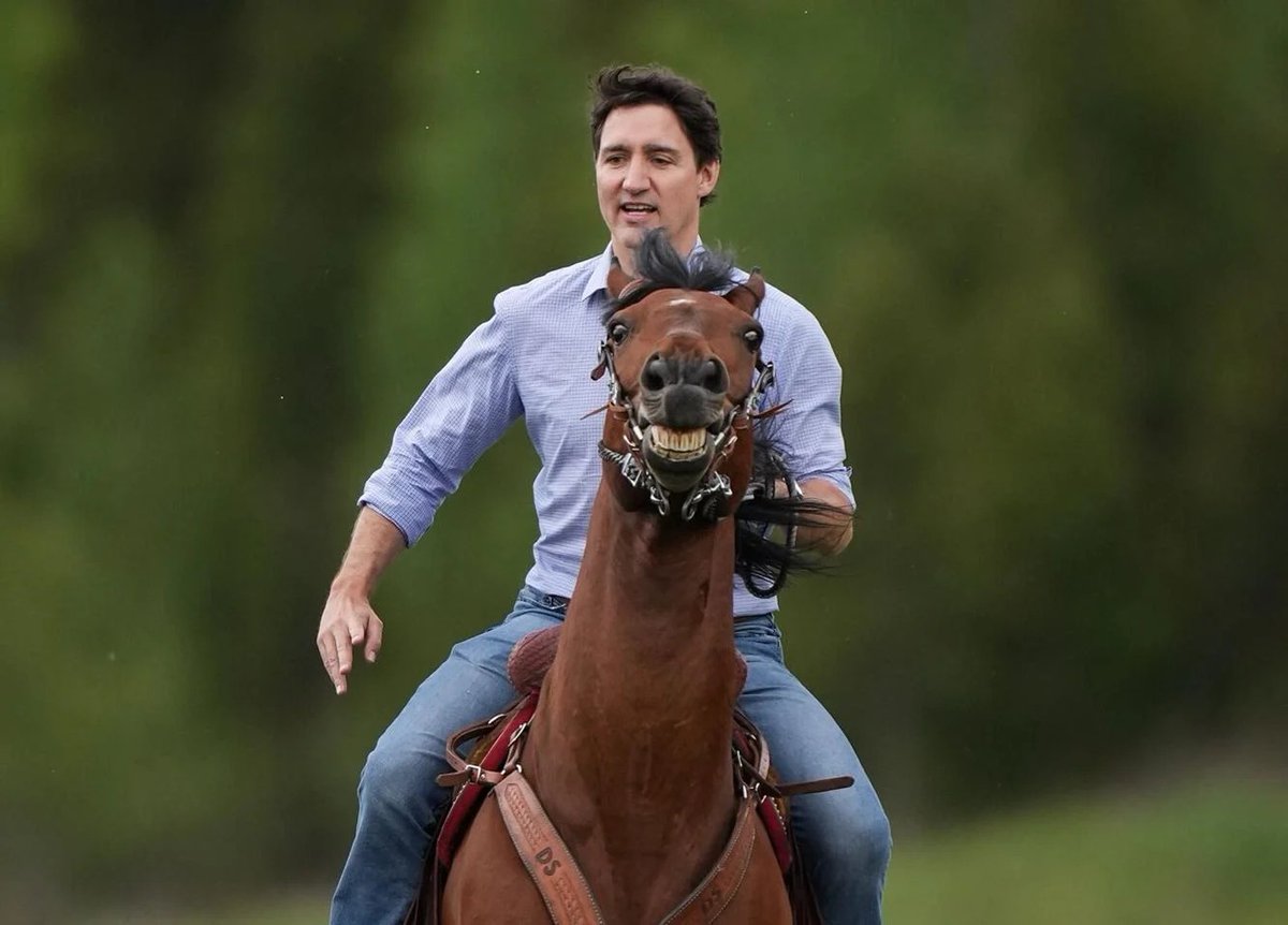 Canada Proud tweet media