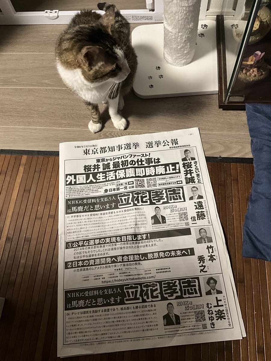 Dimetrodon_'s tweet image. 都知事選の選挙公報が届いた。イカレた奴ばっかで目眩がするが、とりあえず立候補者の名前よりデカイ字で別人の名前が入っているヤツは全員却下だ(これで1/3減る)
雨は嫌いじゃないと言ったが低気圧は別だ。頭痛いぉ〜(¦3 _ヽ)_
お休みなさい!
#天気痛
#クセ強ケンちゃん
#自ら票を割る戦術イミフ