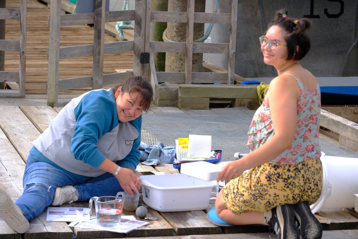 IMERSS_labs's tweet photo. The Sentinels of Change: Dungeness Crab Larvae light trap on Whaler Bay has seen the big bloom of megalopae this past week. Jeannine and Kendall have been checking the traps daily and getting numbers ranging in the thousands! https://t.co/m3AvuFH4bt