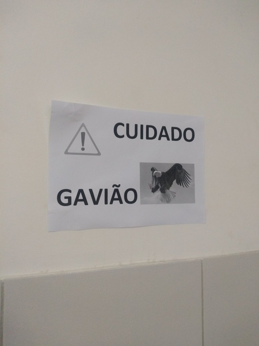 oadyleo's tweet image. fui no posto de saúde e tinha esse alerta