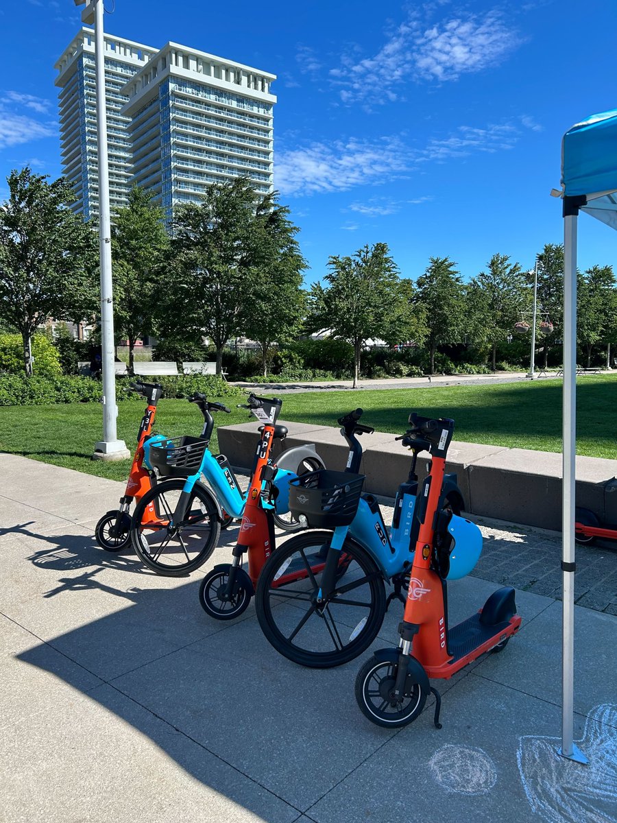 Bird Canada tweet media