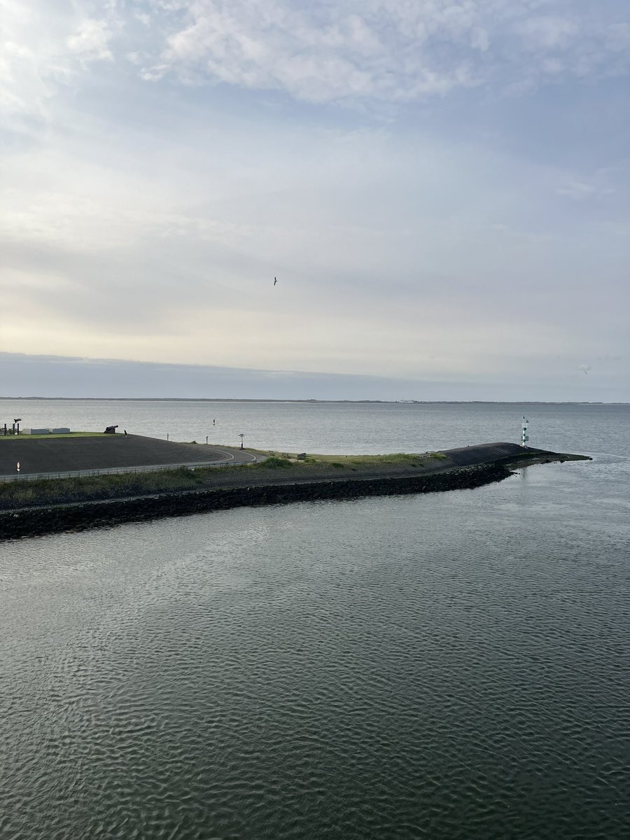 Samantha Hughes (@samhugheslab) on Twitter photo Quick trip to Texel! So far seen (non-GFP) jellyfish 🪼🪼 Quick trip to Texel! So far seen (non-GFP) jellyfish 🪼🪼