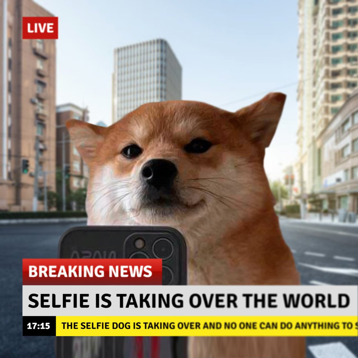 owenxzett's tweet photo. How much FOMO do you think $selfie can induce on normies when it started pumping on peak bull? https://t.co/AcIL3HoC2y