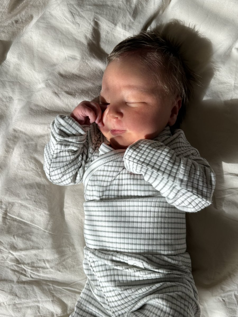 spencer_mccray's tweet photo. Hey everybody, meet otto 🙂 https://t.co/PtGop0buTc