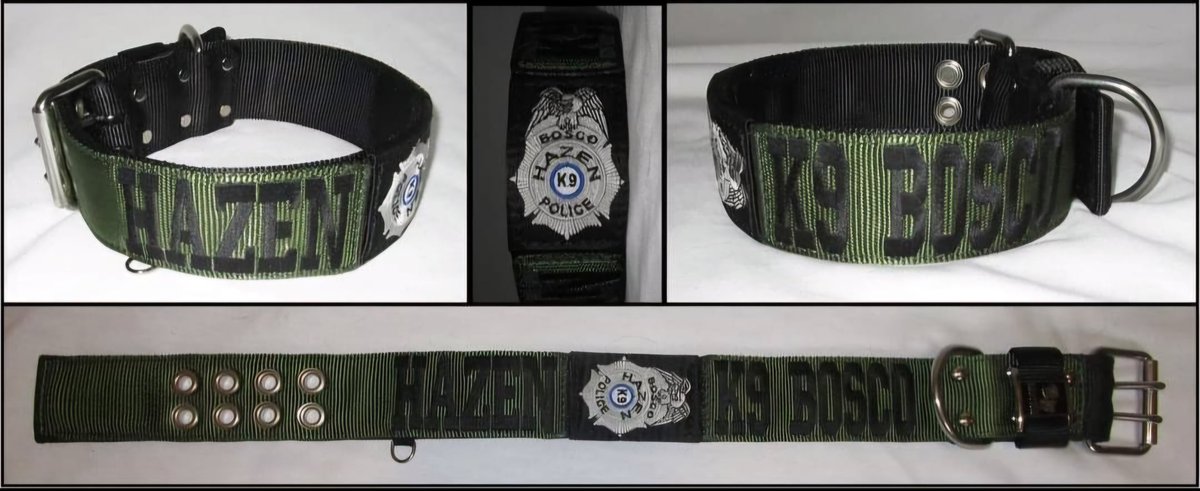 BLOCKYDOGS's tweet photo. Are you a fan of #onpatrollive? We are! Our favorite dept to watch is @hazenpolice, Hazen, AR so we sent them a collar for K9 BOSCO! Hope they like it! 🐾
#blockydogscollar #madeinusa  #k9collar #OPNation #OPLive #OnPatrolLiveNation #chieftaylor #sgtdillion https://t.co/B2GILgTtAW