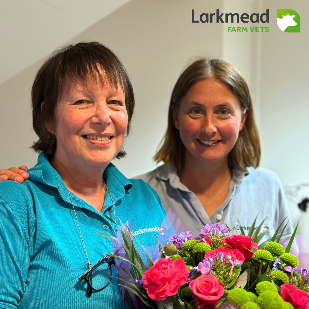 Yesterday we wished Martha, who has worked in our office team for over 31 years (our longest ever serving employee), a happy retirement.  Thank you Martha for your service - we wish you all the best for a long and happy retirement! 🫡🙏😘