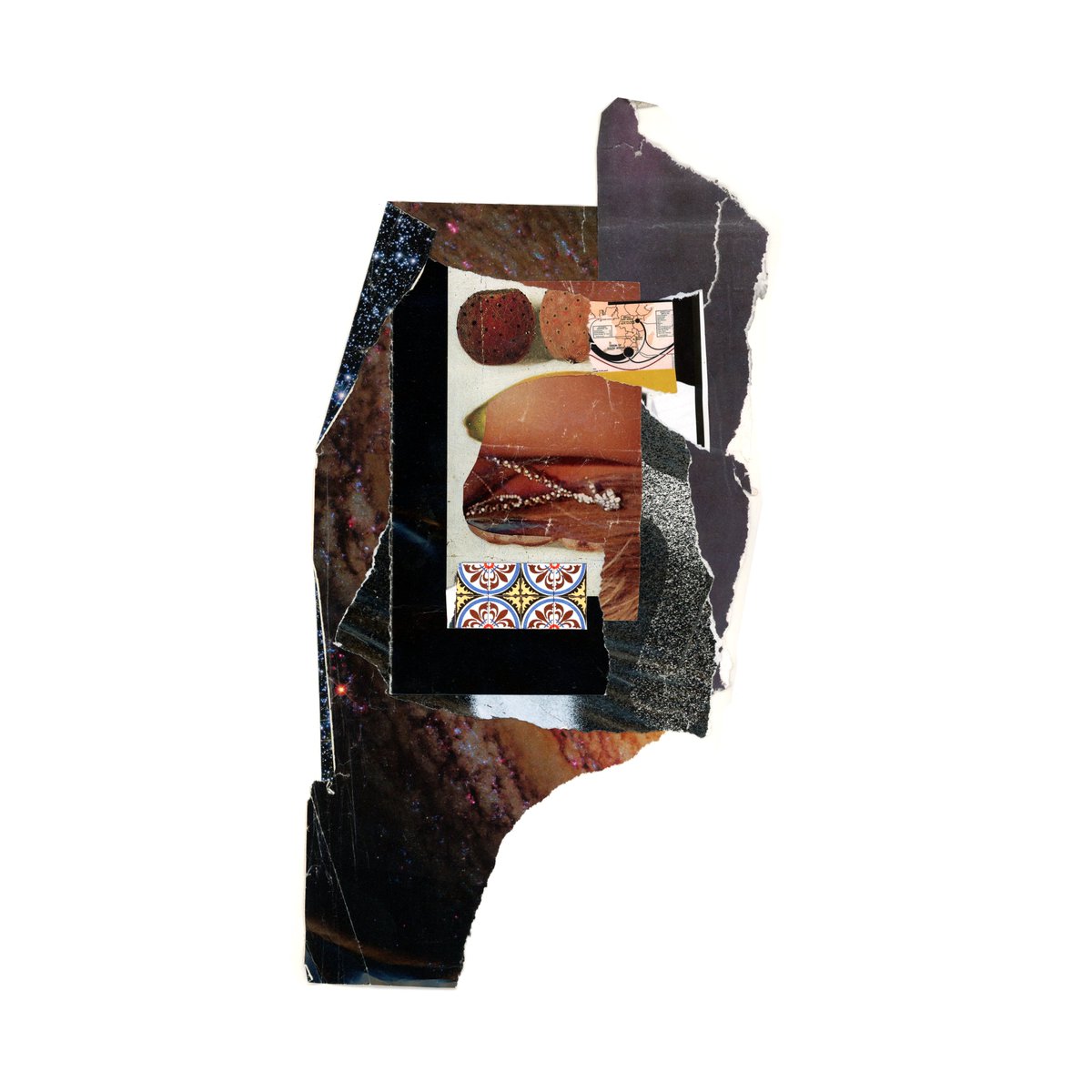 morphic additions - series two now available tweet media