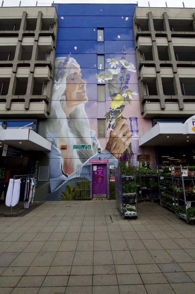 joncarrigan's tweet photo. Some winning #wallart in @ChelmsCouncil @BasildonTC @WallArtGroup https://t.co/ntJKdE24OP