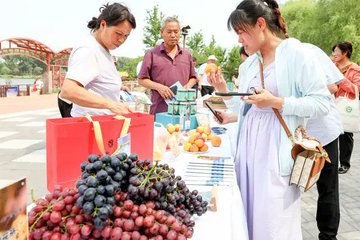 CGMeifangZhang's tweet photo. As Beijing’s specialty fruits continue to mature, the 2024 picking season started on Jun. 27. From now until the end of October, people can visit 3,000 tourist orchards across the city and taste more than 100 kinds of seasonal fruits. #beijing #fruit #tourism #orchard https://t.co/kI3VS9tPn9