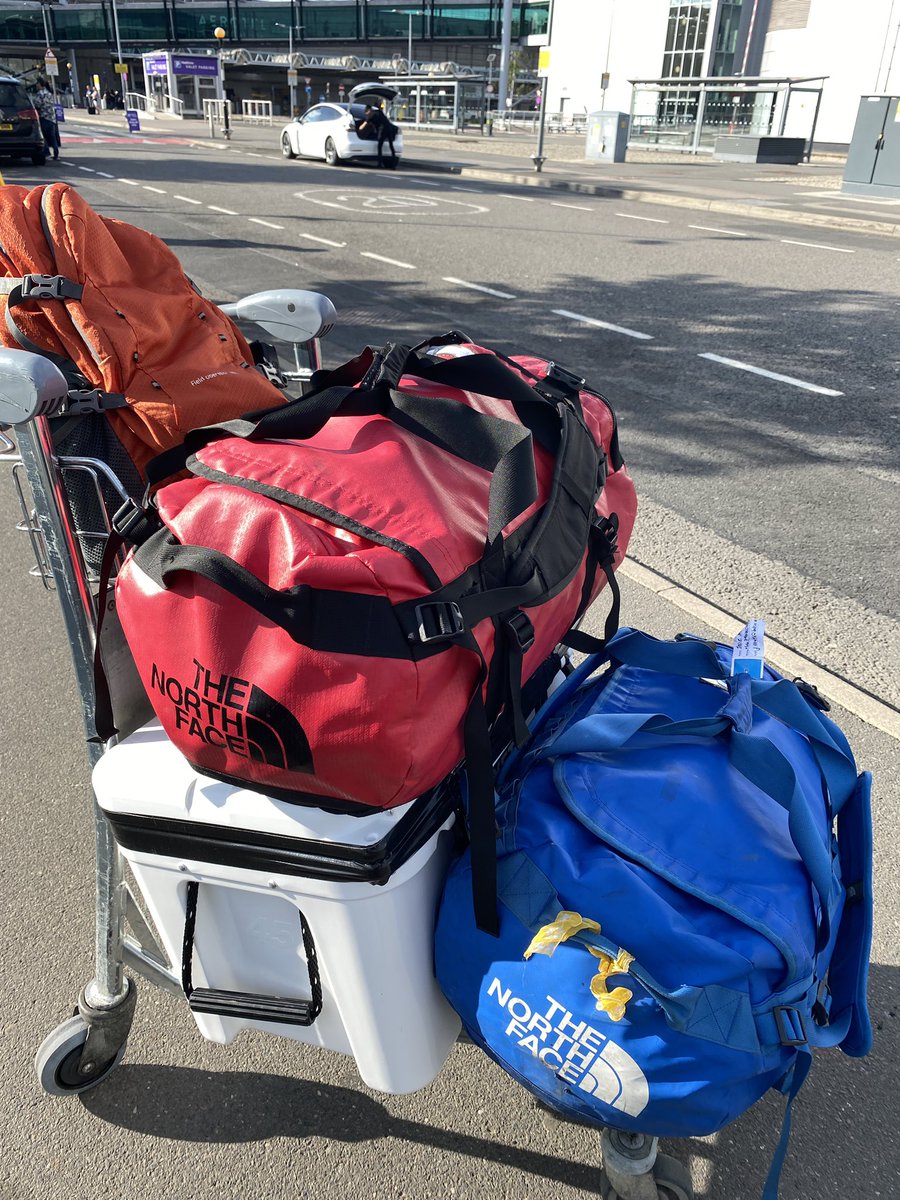 Josie South tweet media