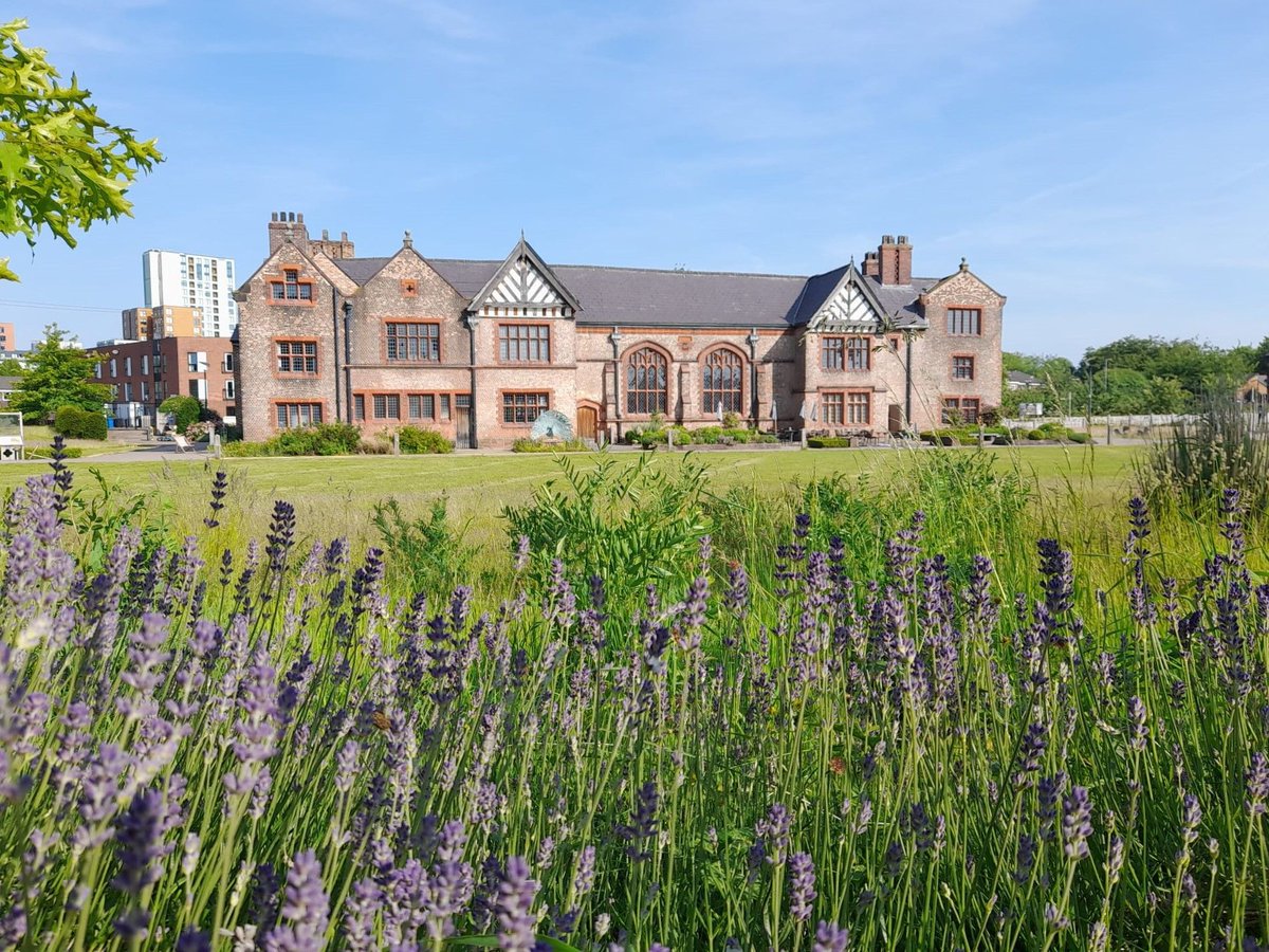 OrdsallHall's tweet photo. We are so excited to have lavender back in our garden!

Not only does it look and smell amazing, it is a great source of pollen for bees and butterflies 🐝🦋🪻 https://t.co/bcztI04KuO