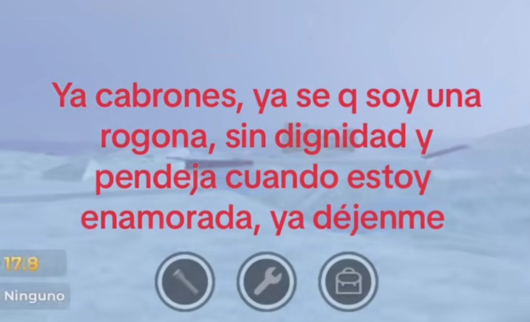fridateodio tweet media