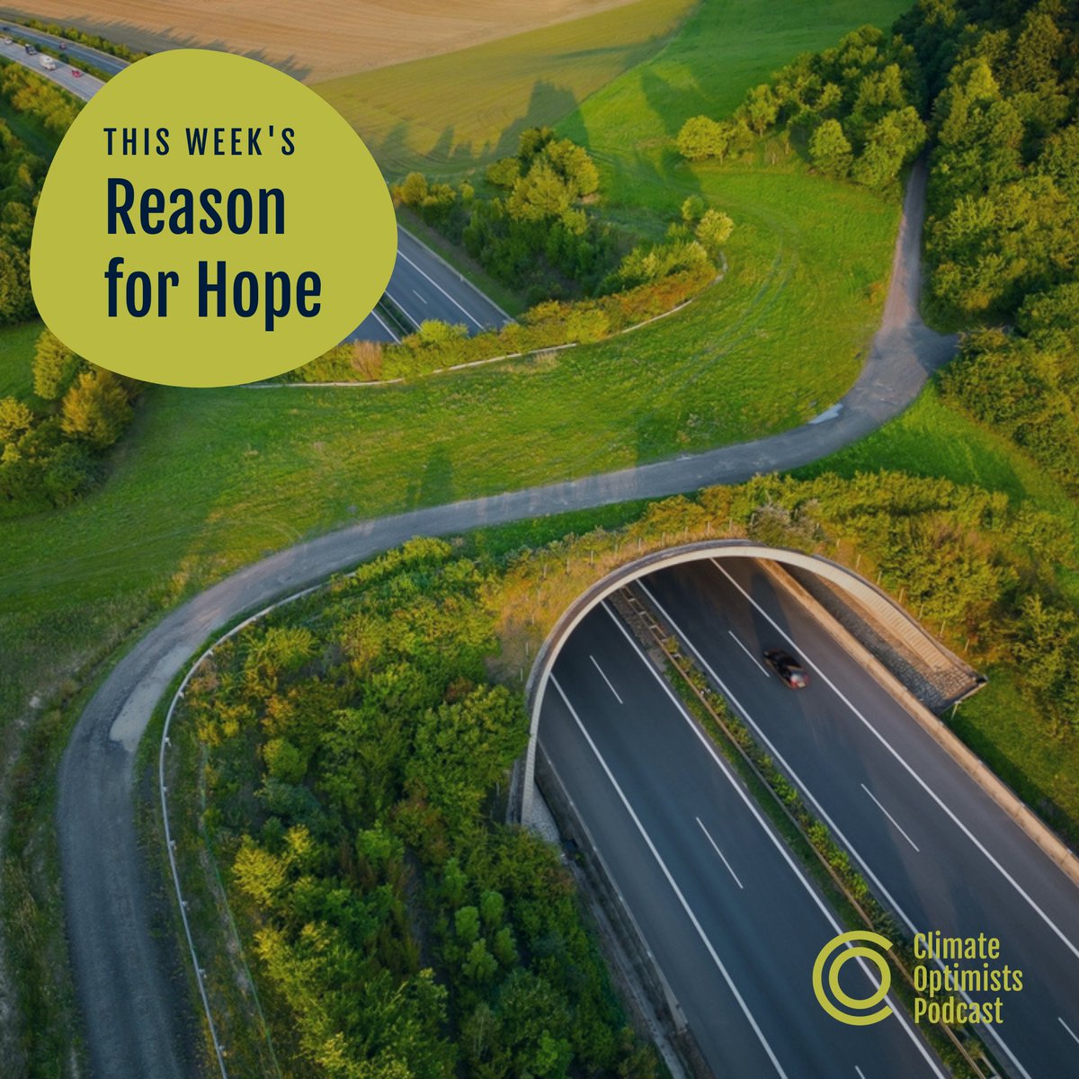 ClimateOptimistsPodcast tweet media