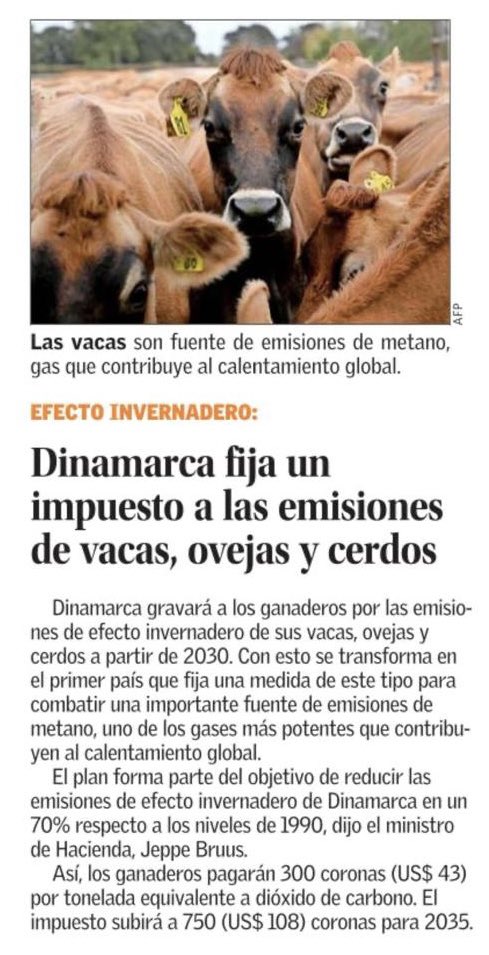 Dinamarca será el primer país del mundo en imponer un impuesto climático a los procesos biológicos en la agricultura.

De esta manera 🇩🇰 moderniza su agricultura y proporciona respuestas concretas a los desafíos climáticos y naturales de la actividad agrícola.

@ElMercurio_cl