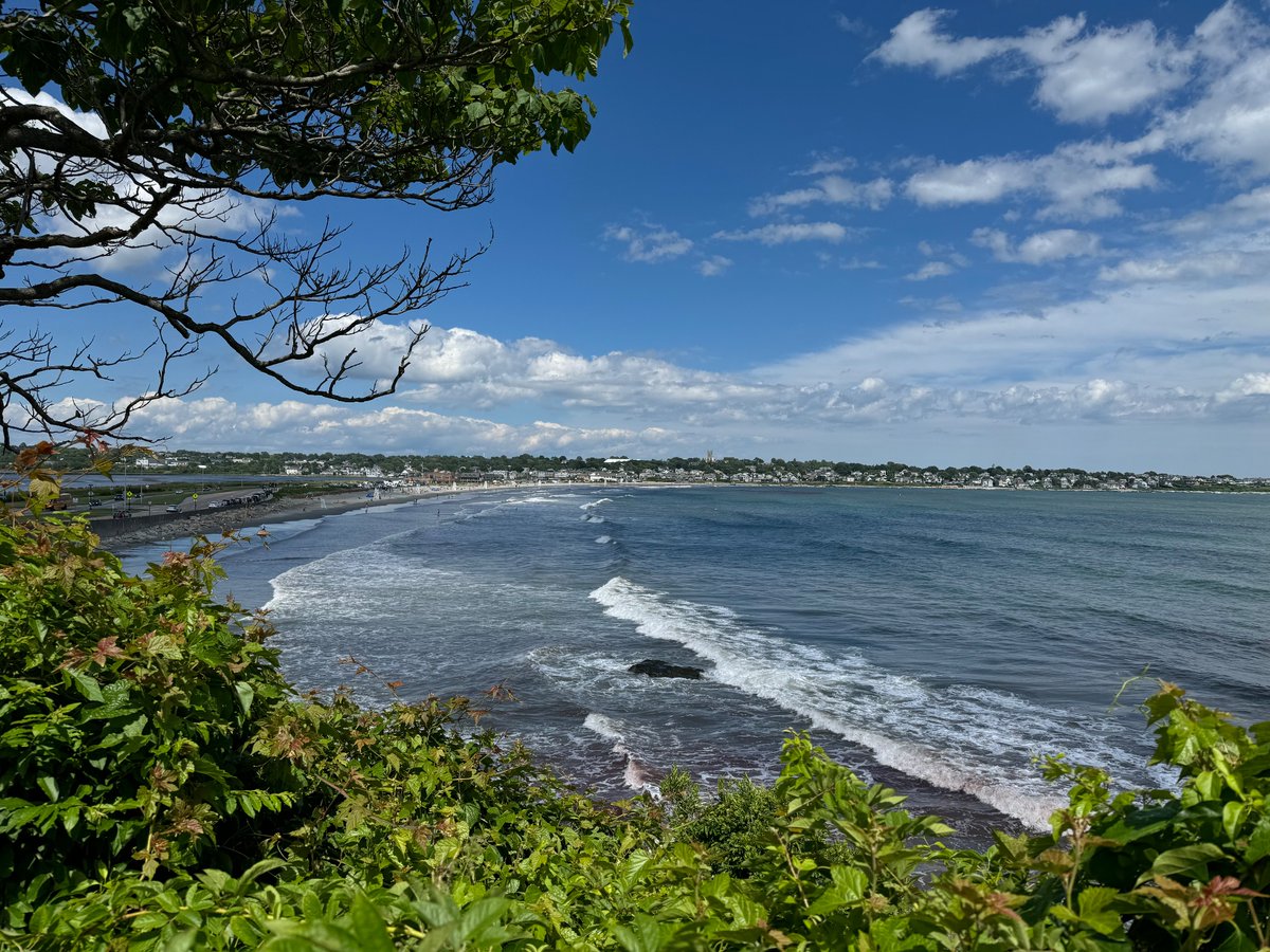 Some non-forbidden GRC photography courtesy of a gorgeous run all through Newport yesterday 😍