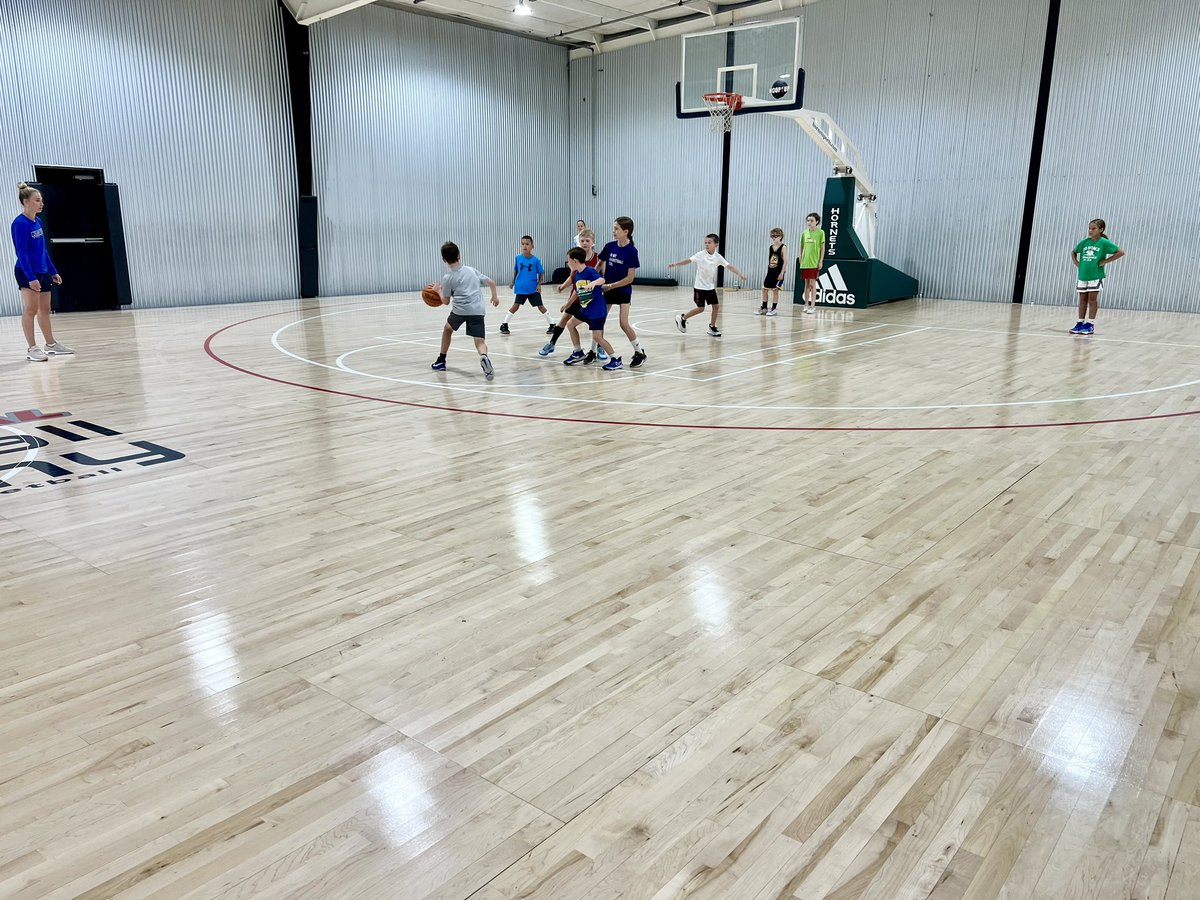 Going Vertical Basketball Academy tweet media