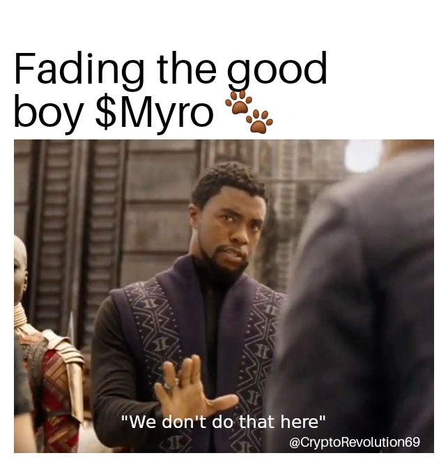 CryptoRev69's tweet photo. Not today! $MYRO 

#GoodboyMyro https://t.co/XtQIdkaGLt