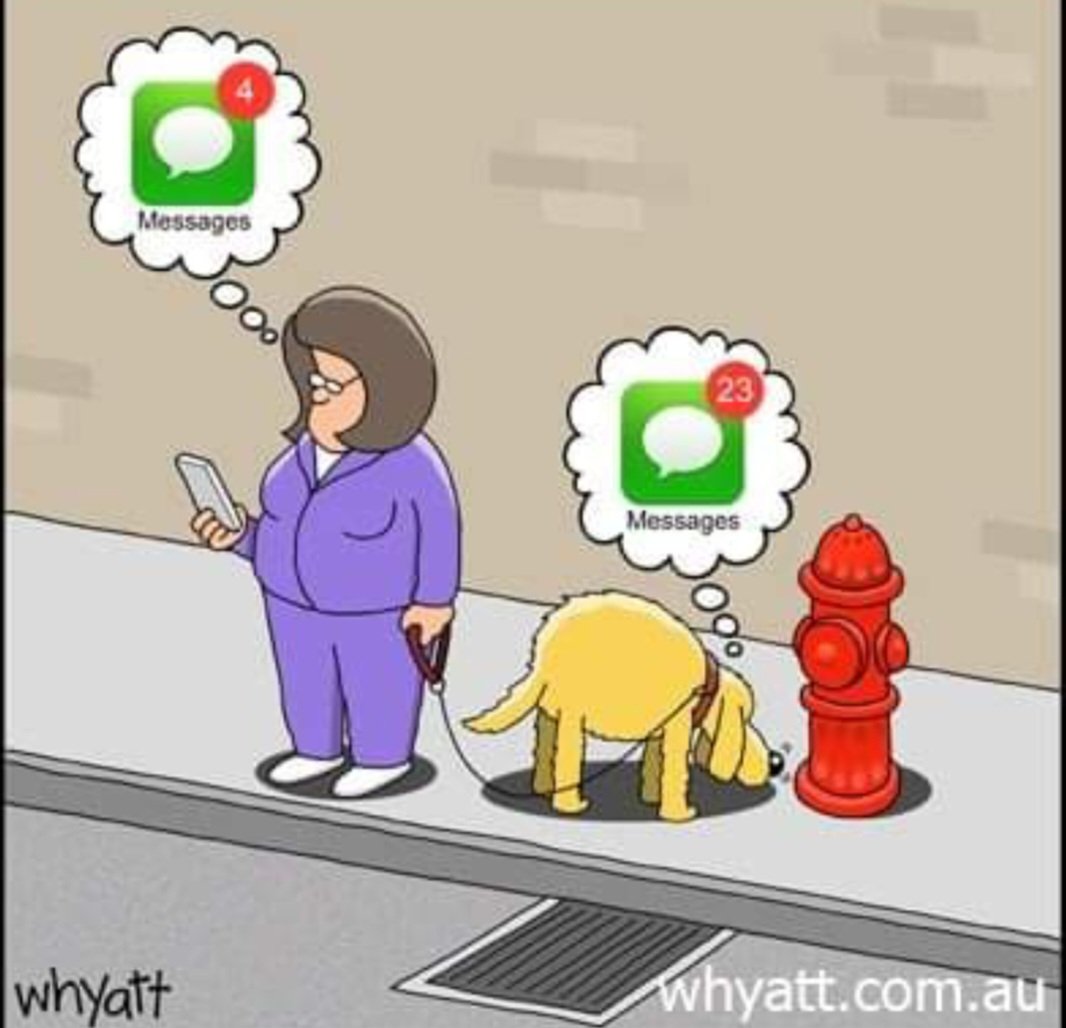 VeganHumour's tweet photo. #humouranimal
#doghumour 
#animauxhumour https://t.co/vdo6T2zltu