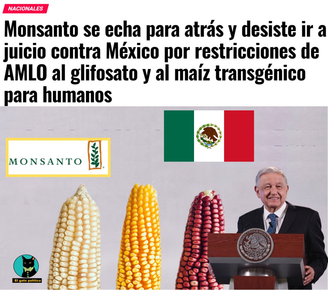 El gato político tweet media