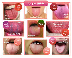 د. محمد سعيد طب بديل tweet media