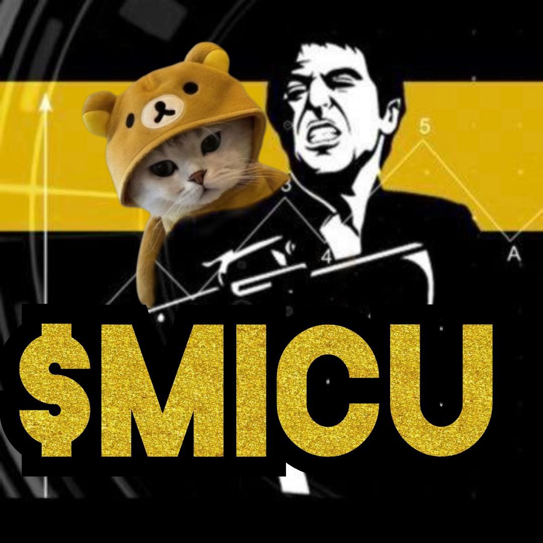 MicuKittySol tweet media