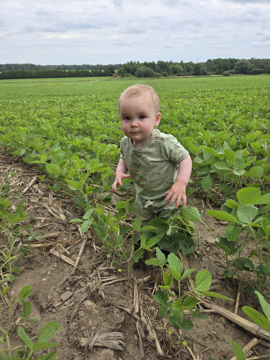 Kaitlynn Anderson tweet media