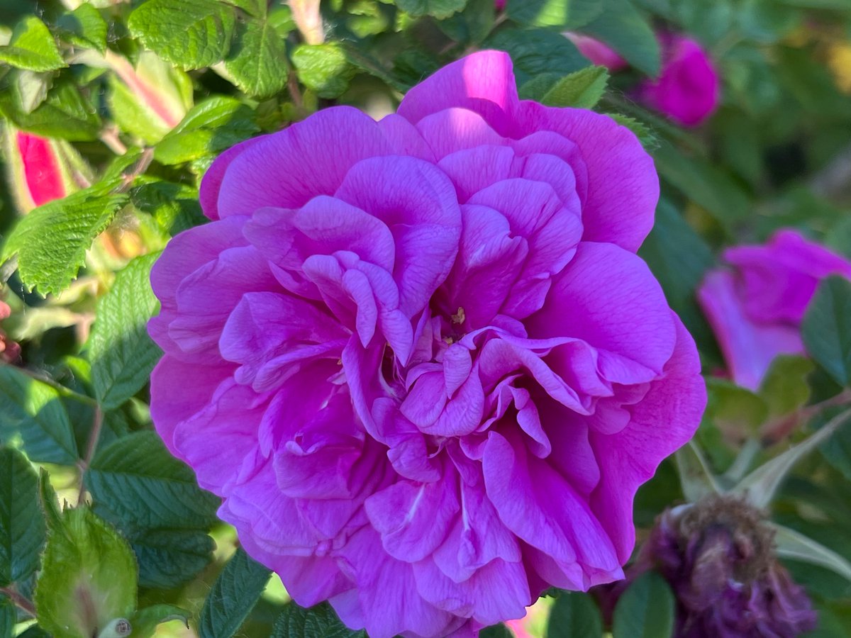 ‘A thing of beauty is a joy for ever…’