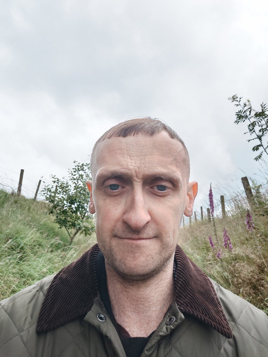 Tom O (P) tweet media