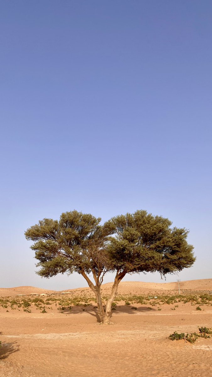Yz16O's tweet photo. وتكون في حالٍ لا تعلم أتَحزن أم تَسْعد. https://t.co/MwMdO6Vq5f