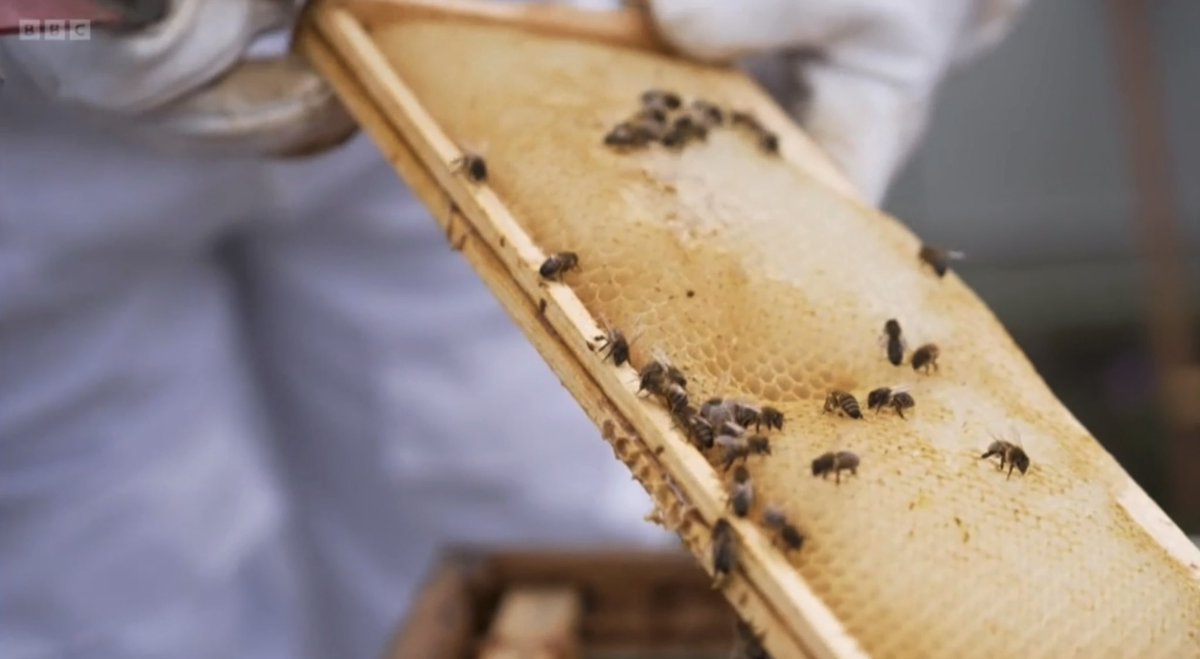 Alice Gray tweet media