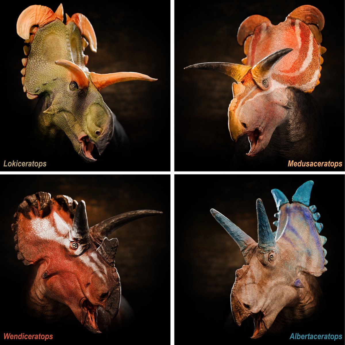 NHMU's tweet photo. See how Lokiceratops compares to other centrosaurines for #FossilFriday! The absence of a nose horn, huge blade-like horns, and an asymmetric spike in the middle of the frill set this fossil apart and led to new information about #dinosaur diversity.

 Artwork by Fabrizio Lavezzi https://t.co/hXj5dSn4I3
