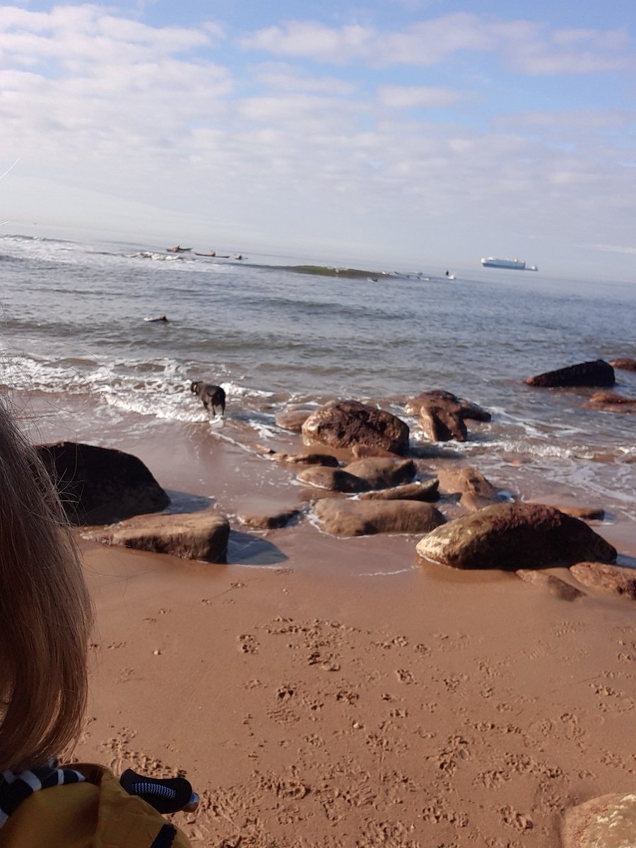 Dawn Drury tweet media