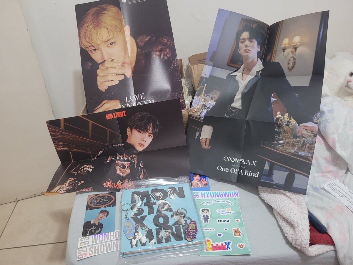 Comprei um album na <a href="/SweetHorizonSt/">Sweet Horizon Store®</a> e vieram trocentos mimos 🤩 obrigada pela venda, veio td perfeito e mds q mimos ❤️
