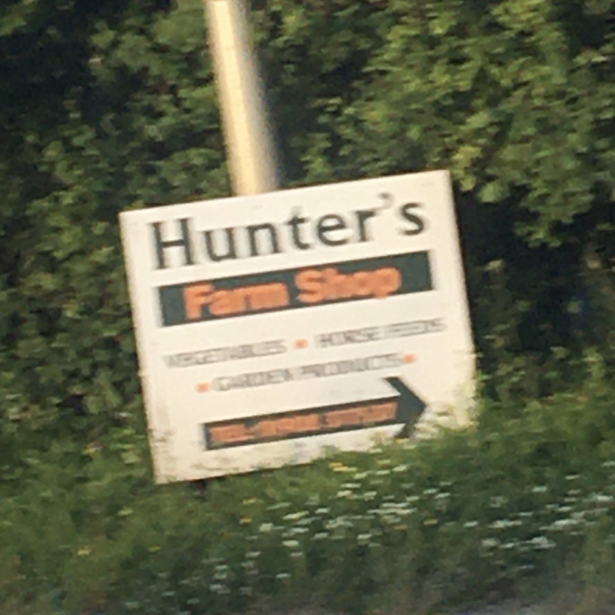 Angie_tano8108's tweet image. Pov Hunters new hobby on pabu, he’s the local #thebadbatch #hunterbadbatch