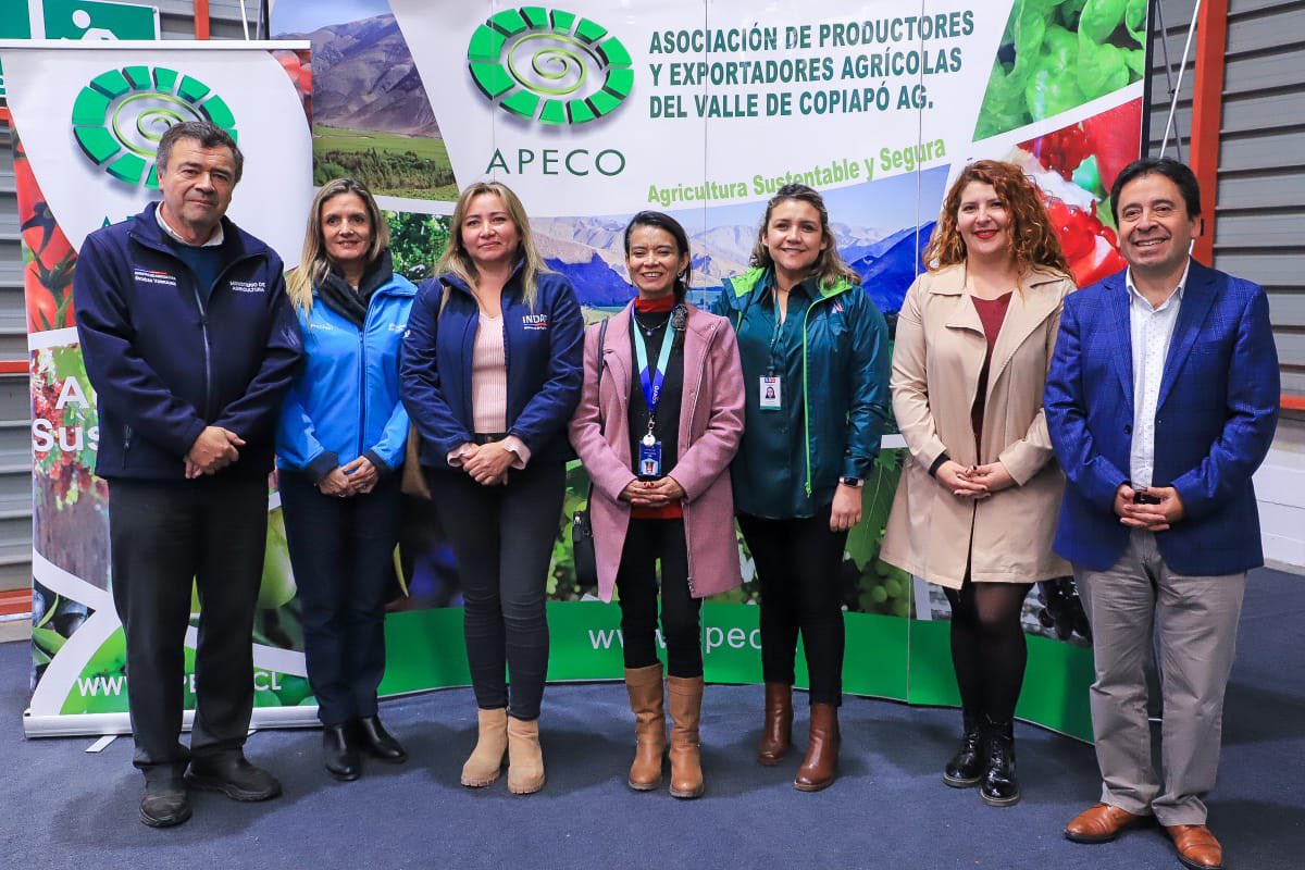 Estamos muy contentos y orgullosos de este avance histórico para las y los productores de uva de mesa de nuestro país. 

Después de 24 años de negociaciones, Chile y Estados Unidos acordaron la puesta en marcha del Systems Approach para la uva de mesa. 

Esta es una tremenda