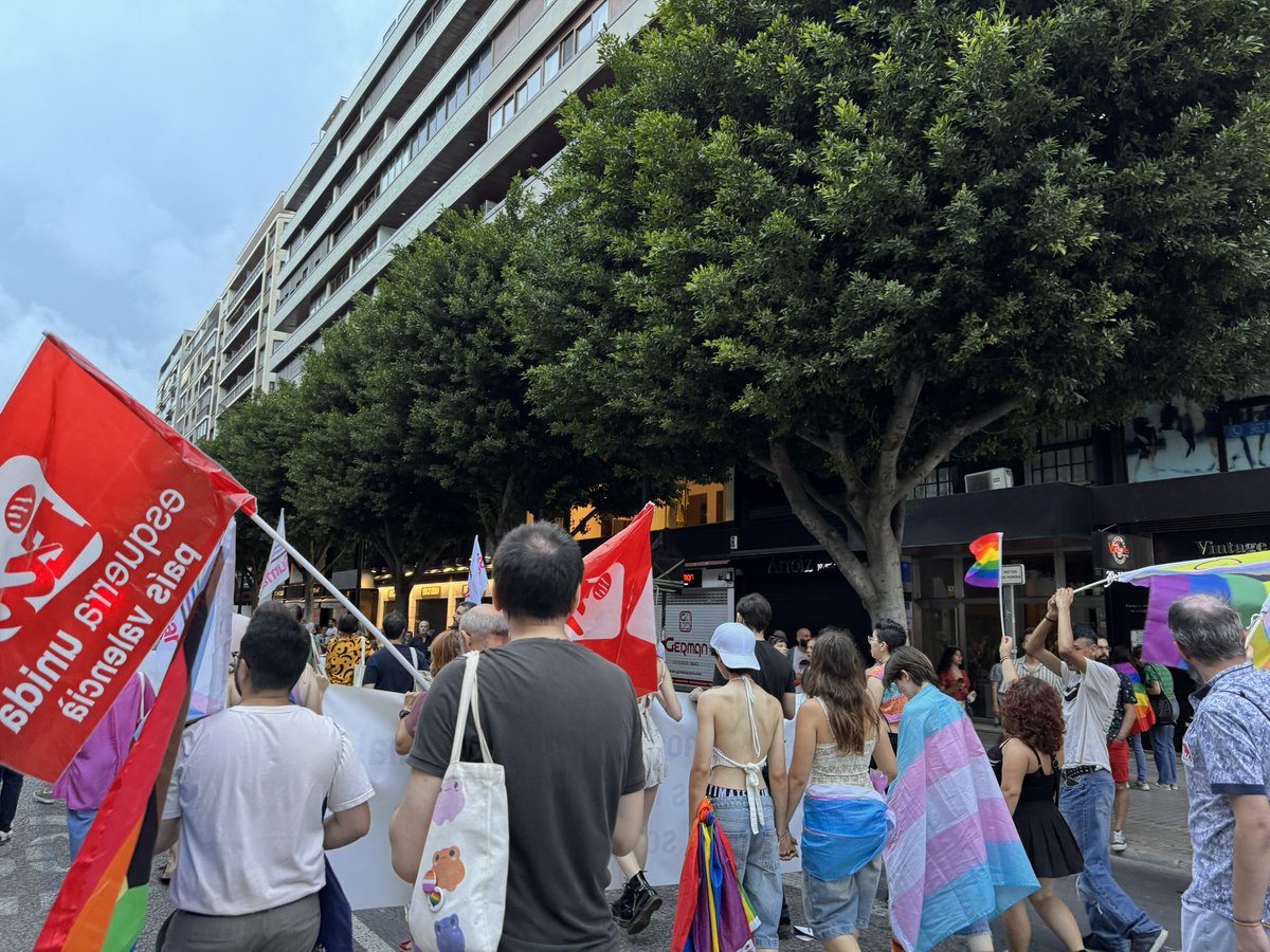 EU_Valencia's tweet photo. 🏳️⚧️🏳️🌈✊🏽Un any més, com hem fet sempre, i seguirem fent, tornem als carrers en la manifestació més reivindicativa a favor dels drets humans de totes, tots i totis.
🔻🕊️🌈Orgull de classe, lliures i en pau.
#OrgullLGTB #28J #Orgullo2024 https://t.co/o8q5ndiwe0