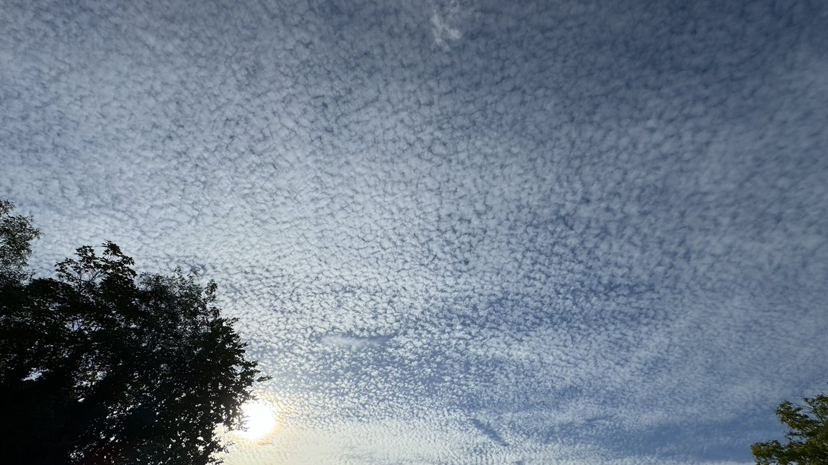 RogerBilling tweet media