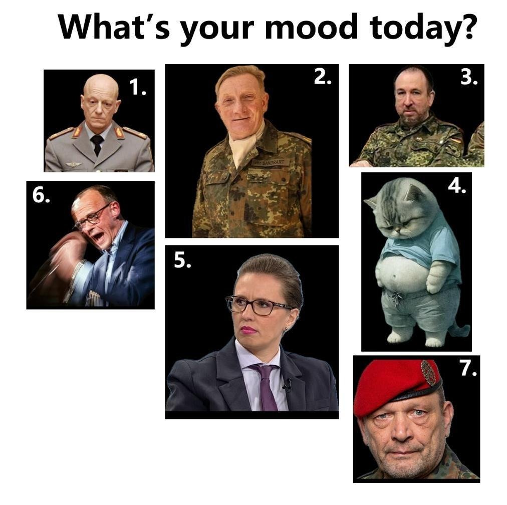 Kein Mensch Kein Tier tweet media