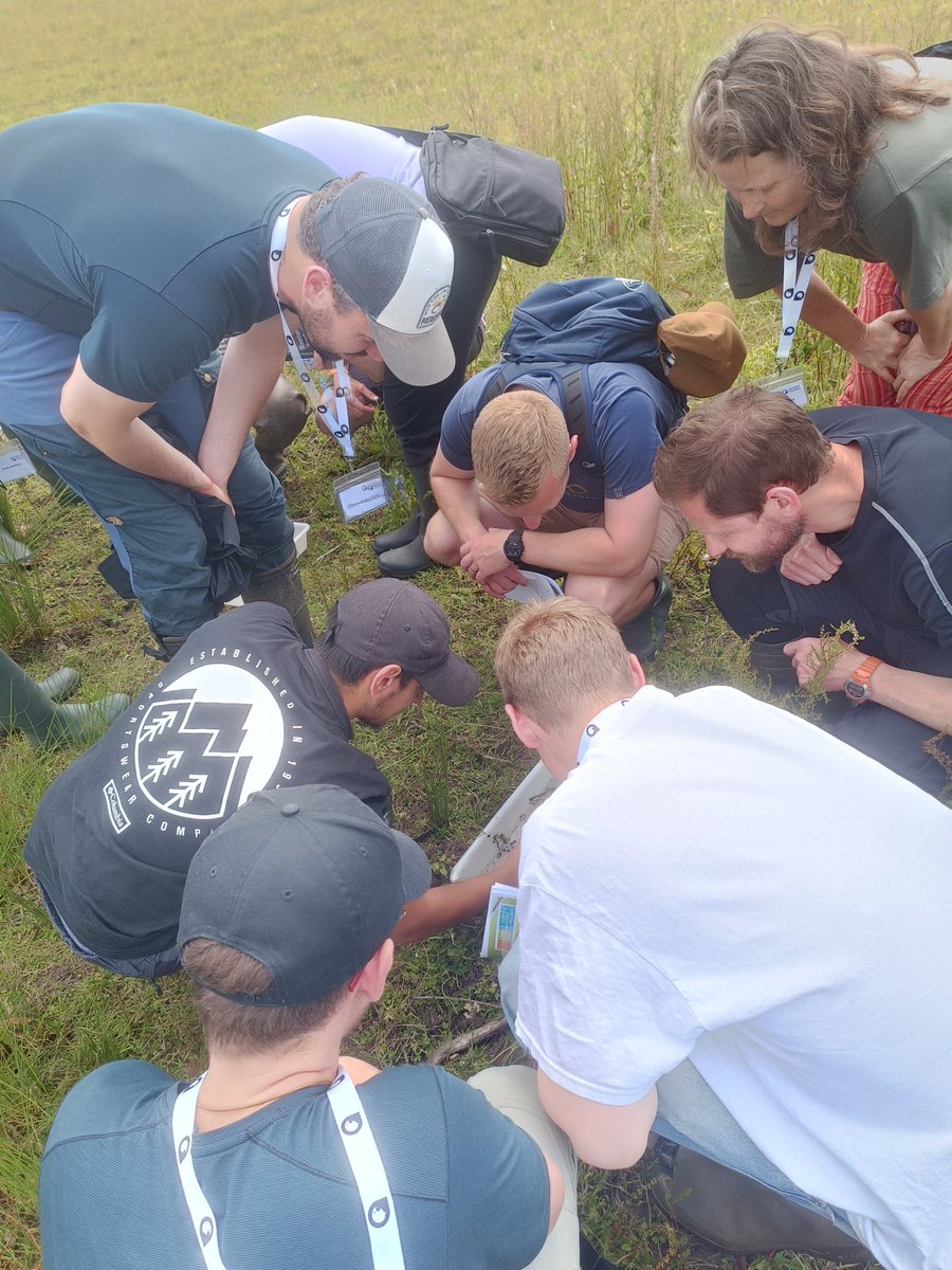An inspiring 2 days learning about pond restoration, creation and resurrection. 💧🐸🐝
Ponds really are such a huge hit for biodiversity! With thanks to <a href="/carlsayerUCL/">Prof Carl Sayer</a> <a href="/helenmgreaves/">Helen Greaves</a> <a href="/norfolkponds/">NorfolkPondsProject</a> <a href="/freshwaterbio/">Freshwater Biological Association (FBA)</a>