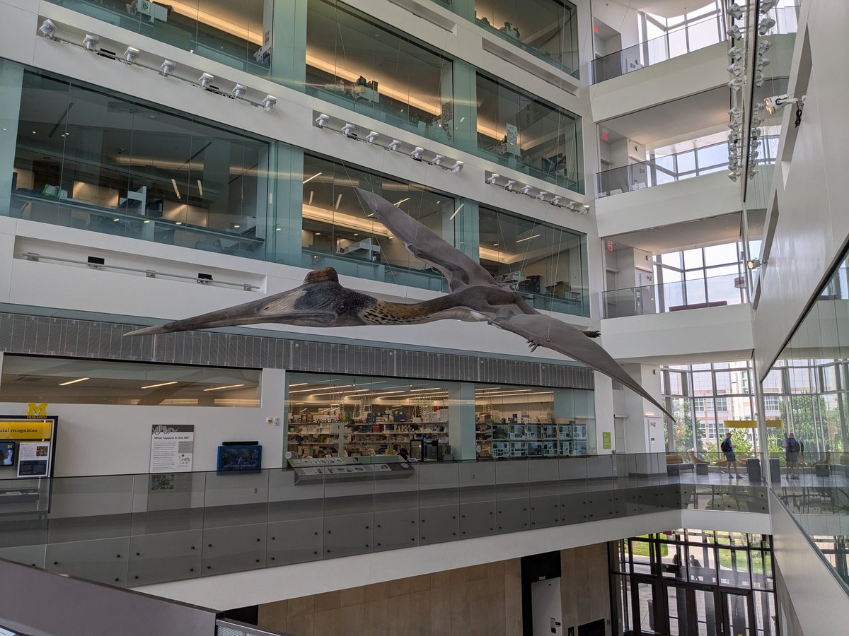 CambroJoe's tweet image. Really enjoyed visiting the exhibits at the University of Michigan Museum of Paleontology last week at #NAPC2024. Some truly iconic fossils, models, and dioramas - plenty of inspiration to be found! 
#FossilFriday