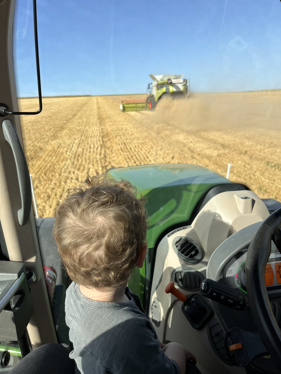 Morgane Carboni tweet media