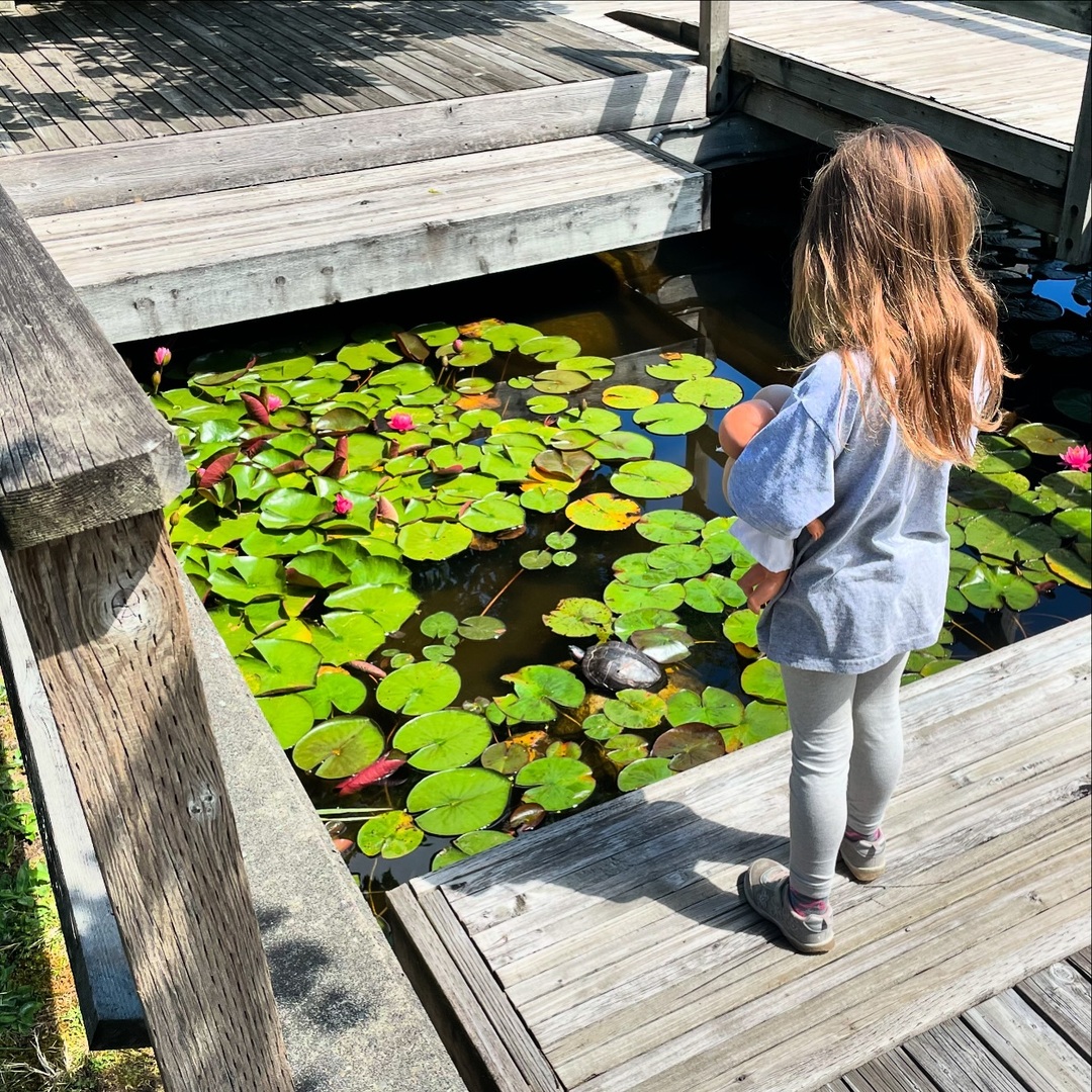 Chris Golden tweet media