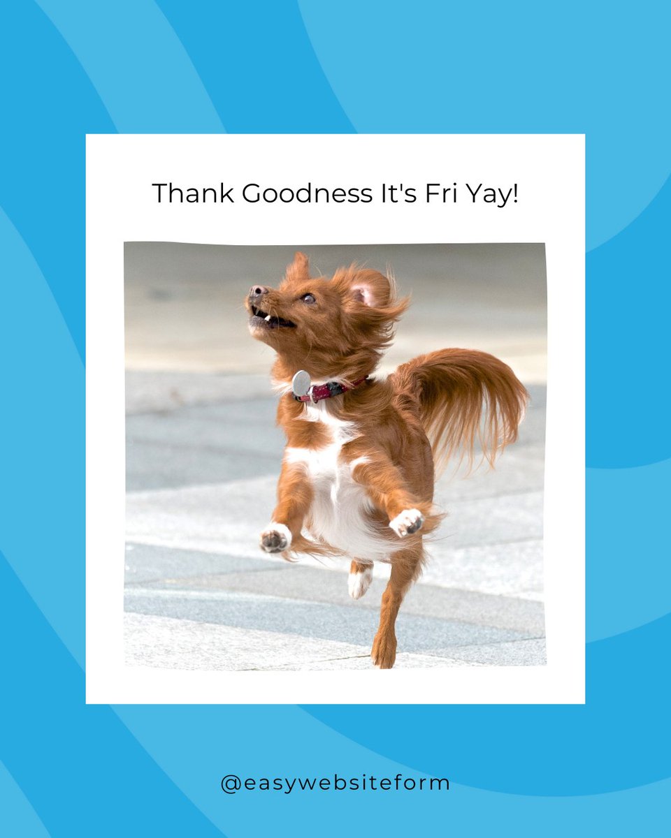 EasyWebsiteForm's tweet image. Happy Friday, everyone! Remember - weekends are peak time for folks using your website&apos;s contact form. Make sure it&apos;s working before you head out of the office today! If you don&apos;t want to deal with the hassle, Easy Website Form guarantees 100% delivery. 

easywebsiteform.com