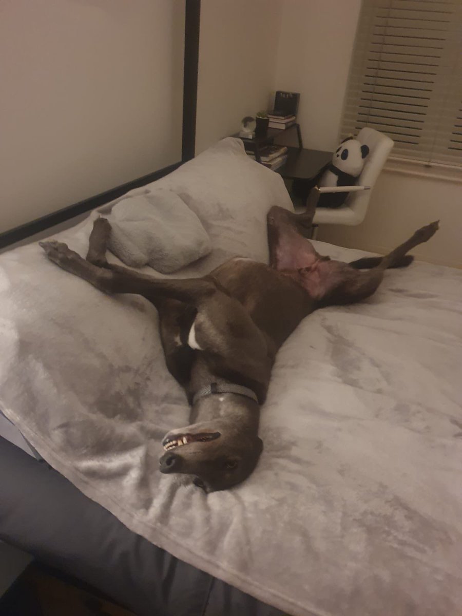 LiviNoble tweet media