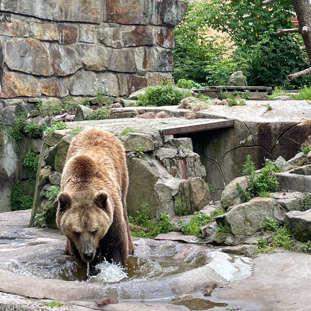 acheache's tweet image. Как дела, #Калининград? B)