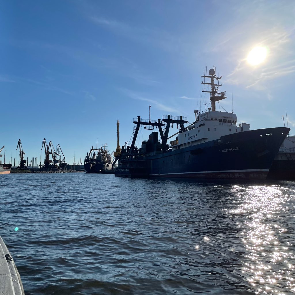 acheache's tweet image. Как дела, #Калининград? B)