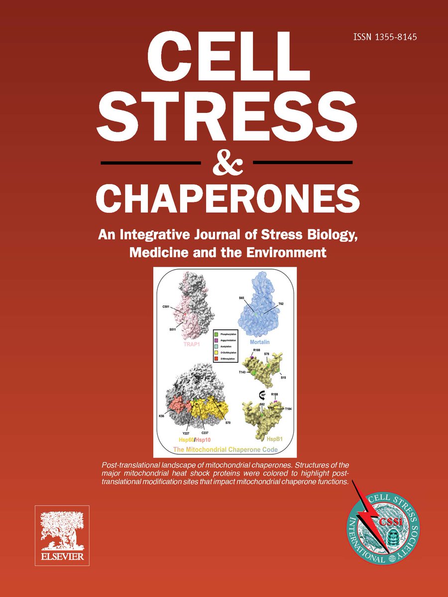 Don’t miss out latest issue of Cell Stress and Chaperones with the special topic: "The Chaperone Code" Cutting-edge insights and review articles by <a href="/TrumanLab/">Andy Truman PhD</a> <a href="/MattooLab/">Dr. Seema Mattoo</a> <a href="/TheMarq1/">Mark Woodford</a> on Hsp70, Hsp90 and mitochondrial chaperones sciencedirect.com/special-issue/… 
#Hsp70 #Grp94 #Hsp90