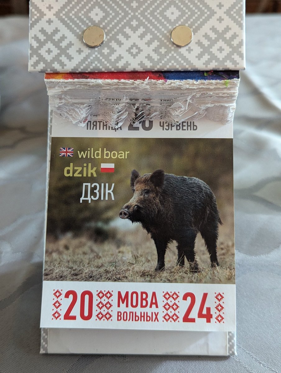 Не дацярпела да #нюдзелі 
Лавіце дзікпік