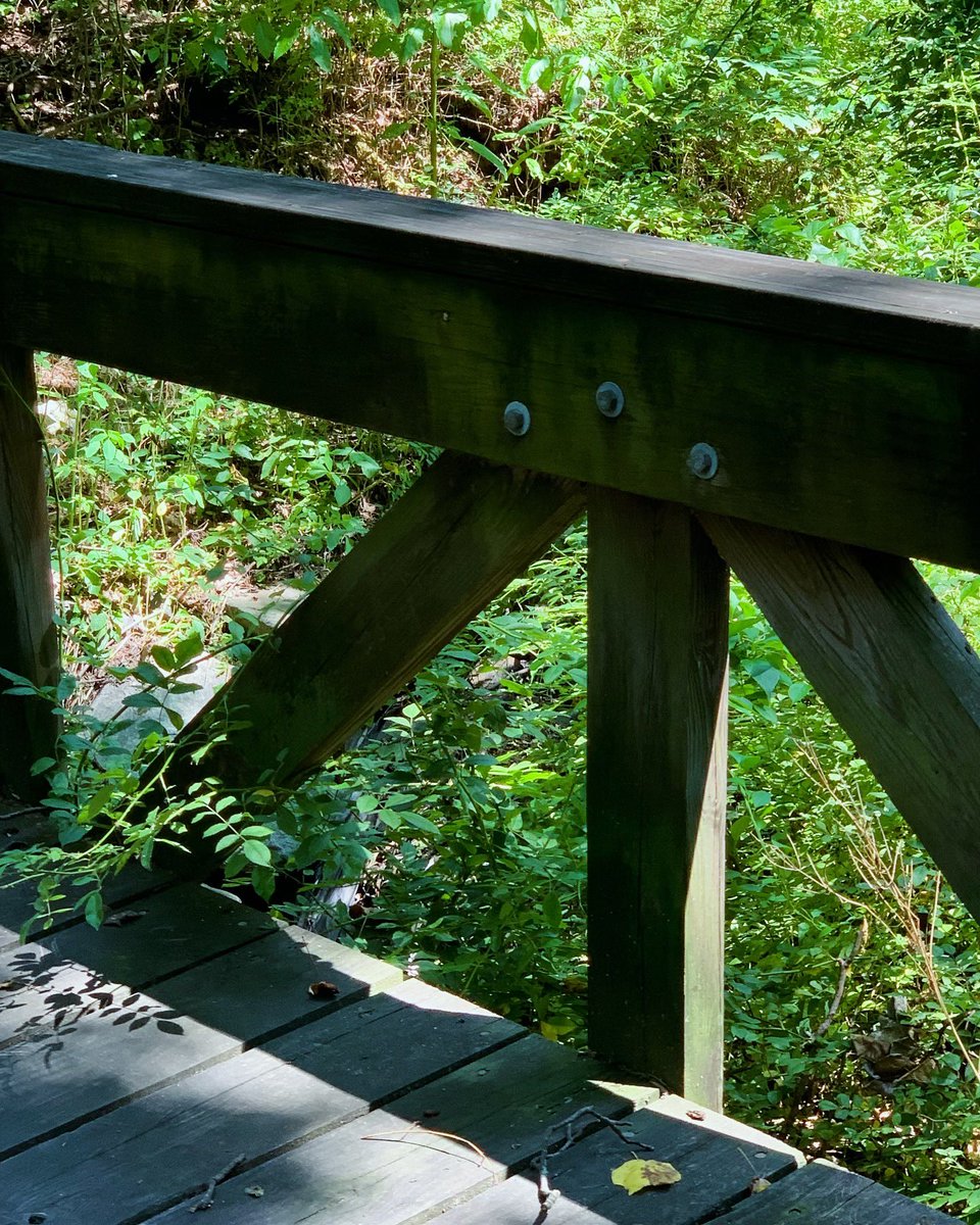 BmoreSparrow's tweet image. “Another Sunny Day . . . “ this is the weather I want most of the time. This is my season. And my reason
#MidLifeCrisis #SpinsterLife #SingleGirlProblems #BeautyBrainsTalent #Spring #EarlySummer #Recharge #AmWriting #YesIAm #IPromise #MoreToCome #hOMe #HoCoMD