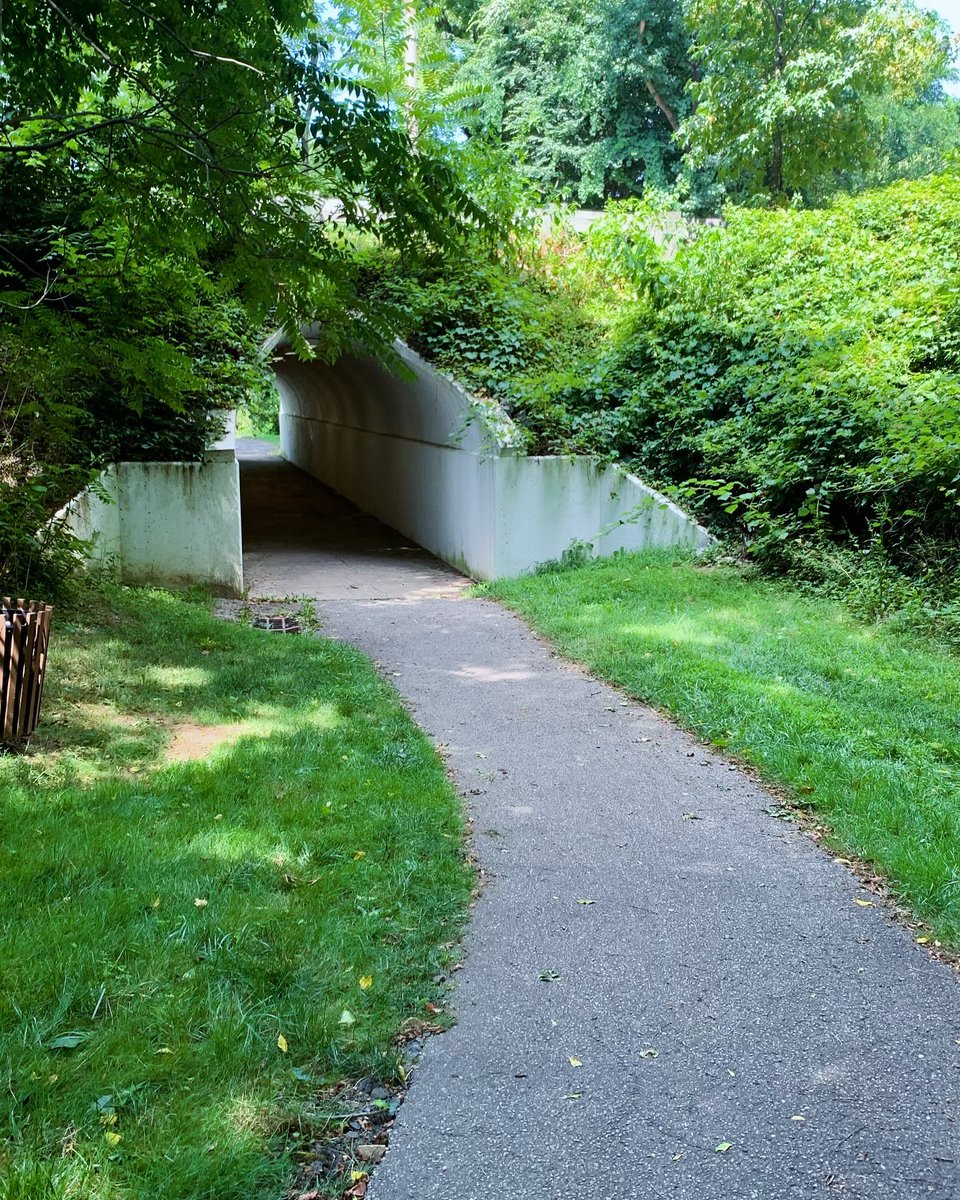 BmoreSparrow's tweet image. “Another Sunny Day . . . “ this is the weather I want most of the time. This is my season. And my reason
#MidLifeCrisis #SpinsterLife #SingleGirlProblems #BeautyBrainsTalent #Spring #EarlySummer #Recharge #AmWriting #YesIAm #IPromise #MoreToCome #hOMe #HoCoMD